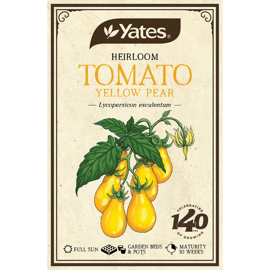 Yates Heirloom Tomato Yellow Pear Seeds Each