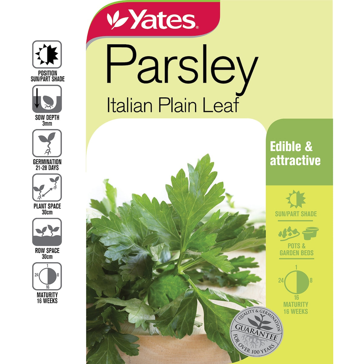 Yates Italian Plain Leaf Parsley Seeds 1.5 G