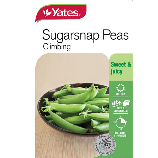 Yates Sugarsnap Pea Climbing Seeds 54 G