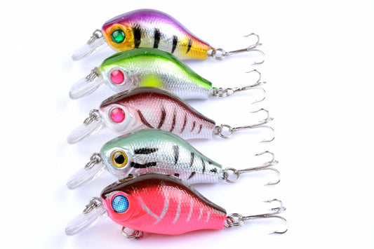 5x 5.5cm Popper Crank Bait Fishing Lure Lures Surface Tackle Saltwater