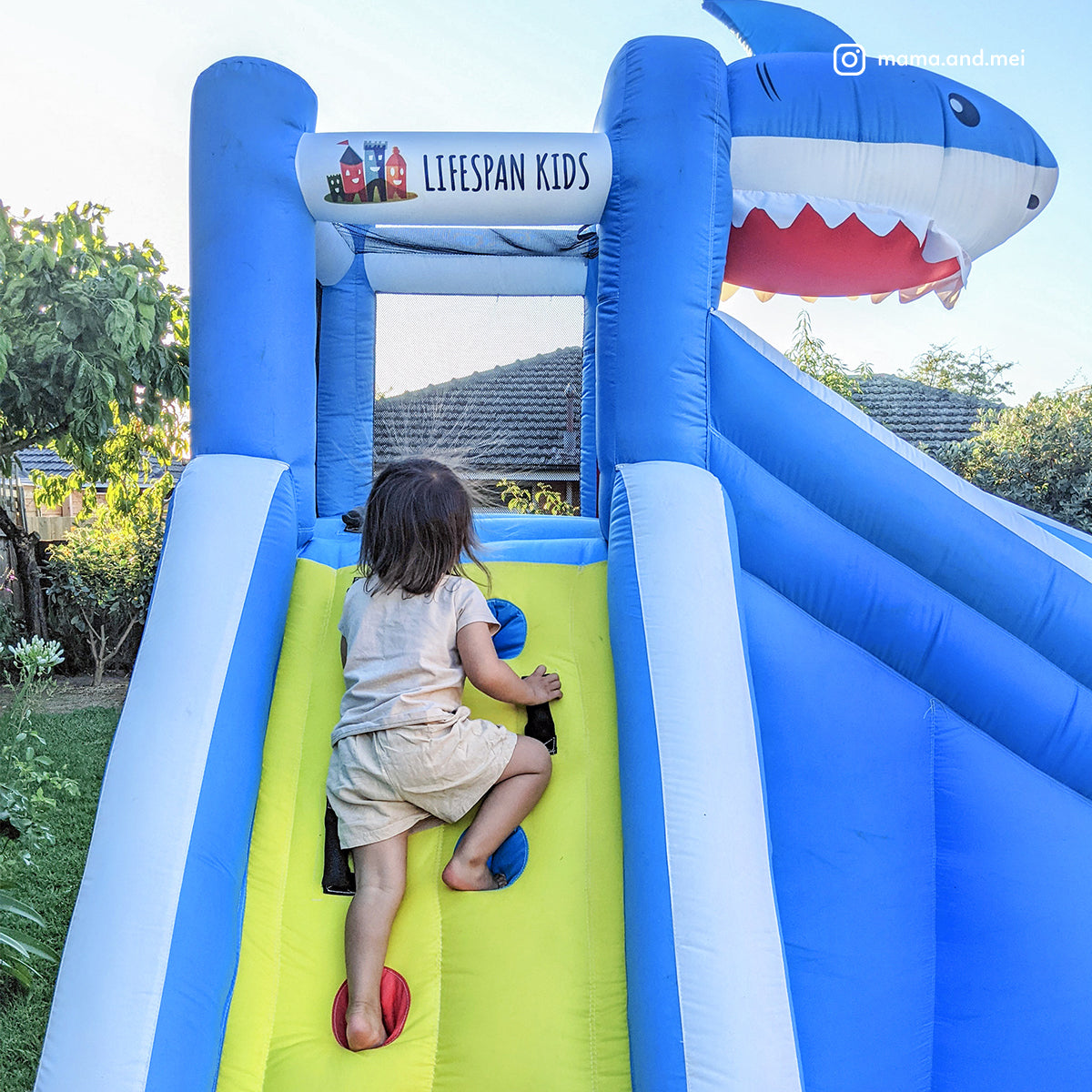 Lifespan Kids Sharky Slide & Splash Inflatable